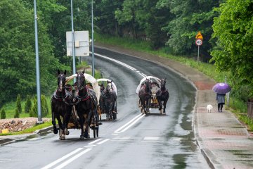 gallery-img