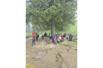 gallery-img