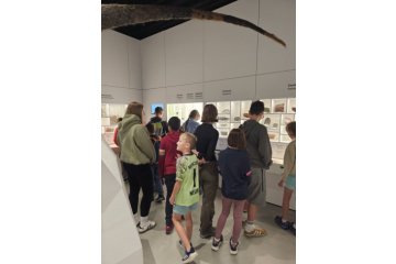 gallery-img