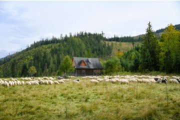 gallery-img